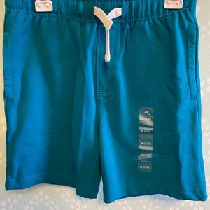 Tommy Bahama Blue Casual Shorts with Elastic Waist